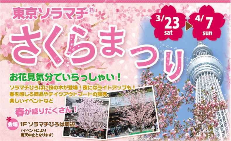 東京ソラマチ さくらまつり