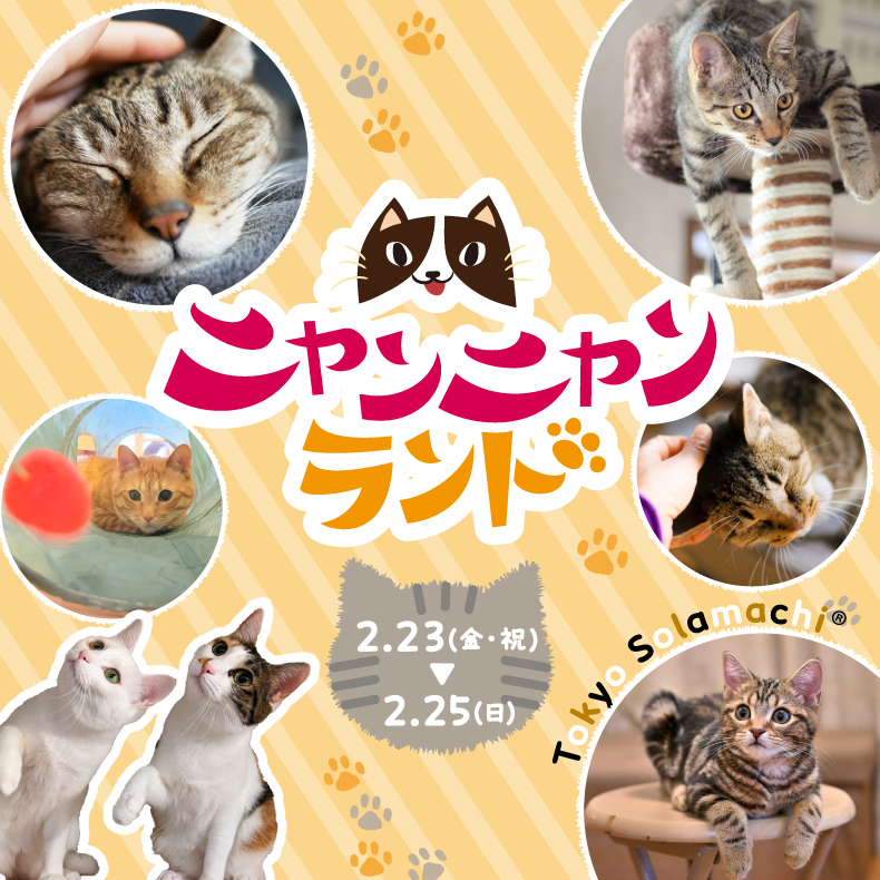 ニャンニャンランド