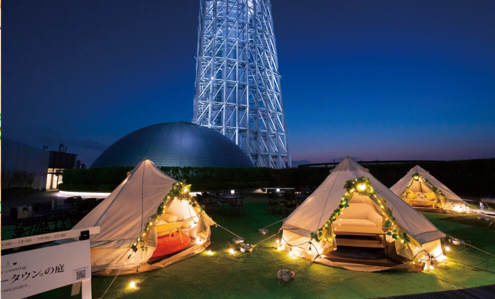 バルクラシックプラン