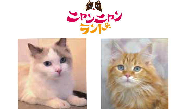 ニャンニャンランド