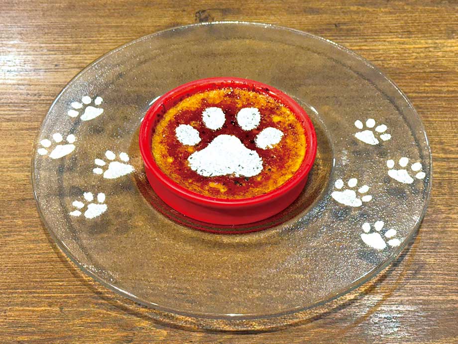 ねこのあしあと　カタラーナ