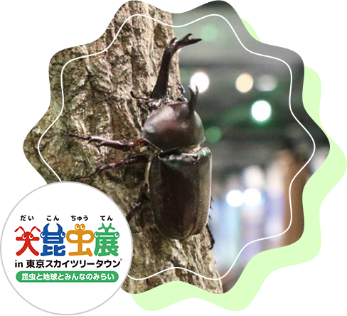 大昆虫展