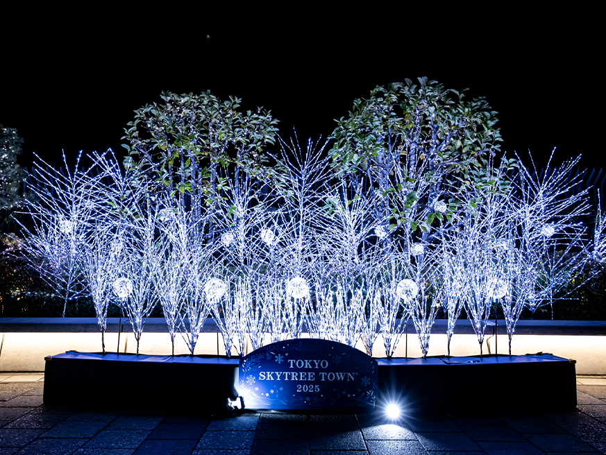 イルミネーション｜東京ソラマチ®ドリームクリスマス2025｜東京ソラマチ